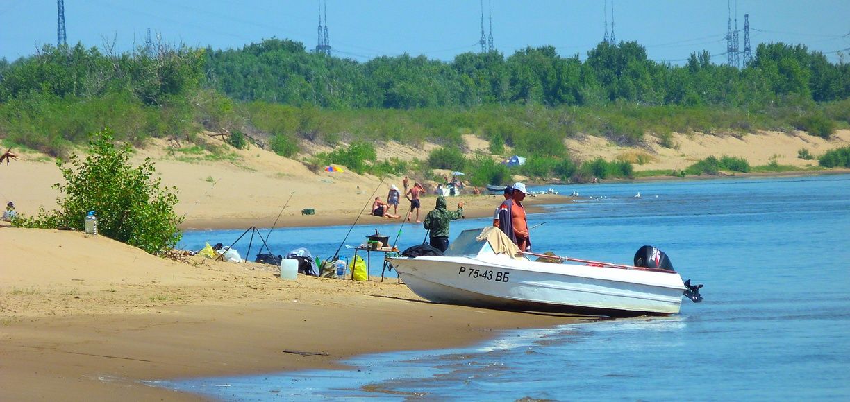 Речные раки довели до тюрьмы госслужащего в Волгограде