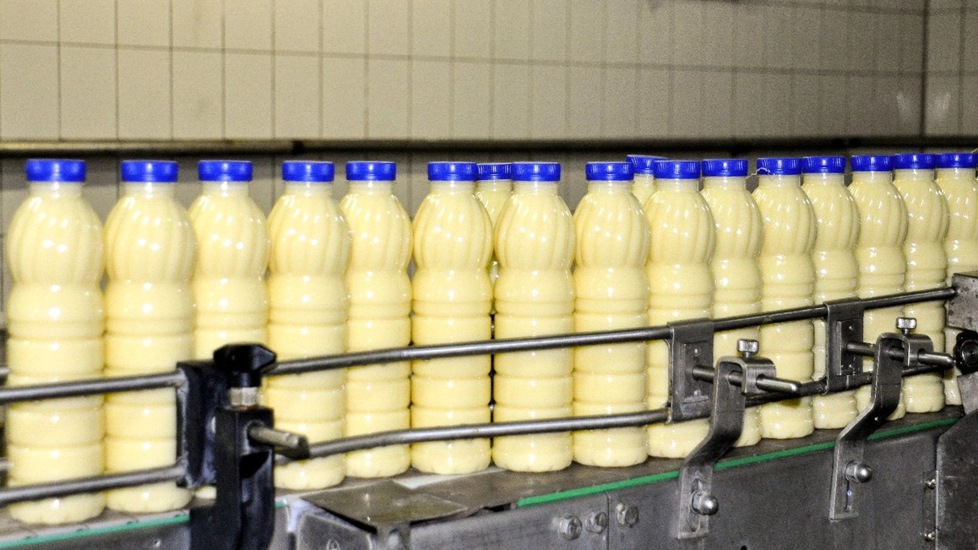 Тюменский молочный гигант нанес ущерб природе на сотни миллионов рублей